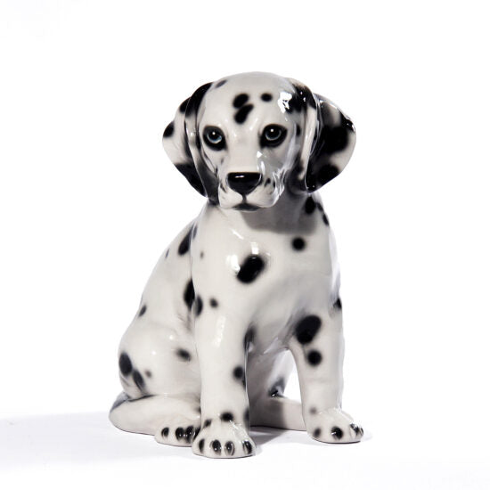 Dalmatian Seatting