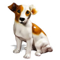 Jack Russell Brown 11″