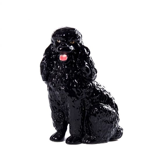 BLACK POODLE 11.5″