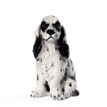 Cocker spaniel white 11.5”