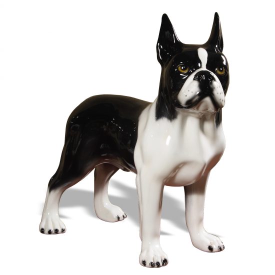 Boston Terrier 17″