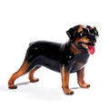 Rottweiler 16”