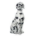 Dalmatian 33″H.