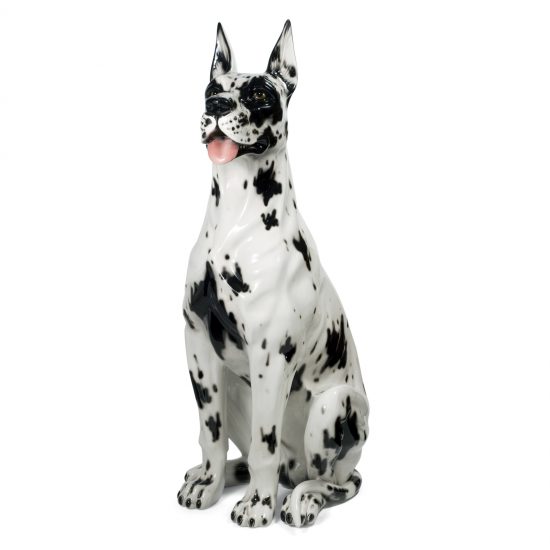 Great Dane 34.5″