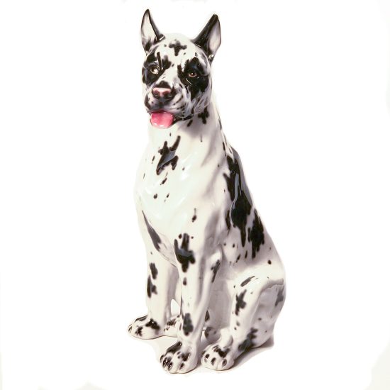 Great Dane 21.5″