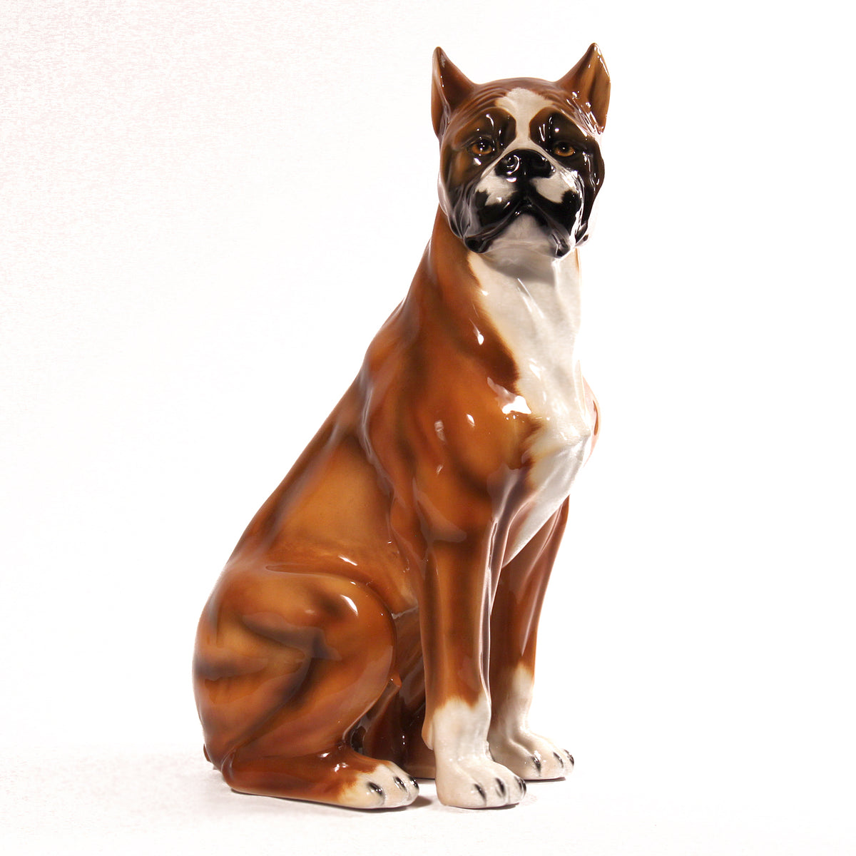 Boxer 21.5″