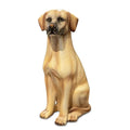 Labrador Sitting 22″