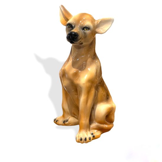Chihuahua