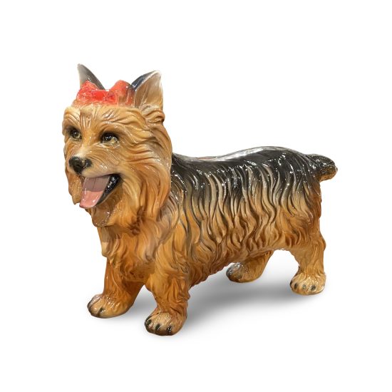 Yorkie 10.5”