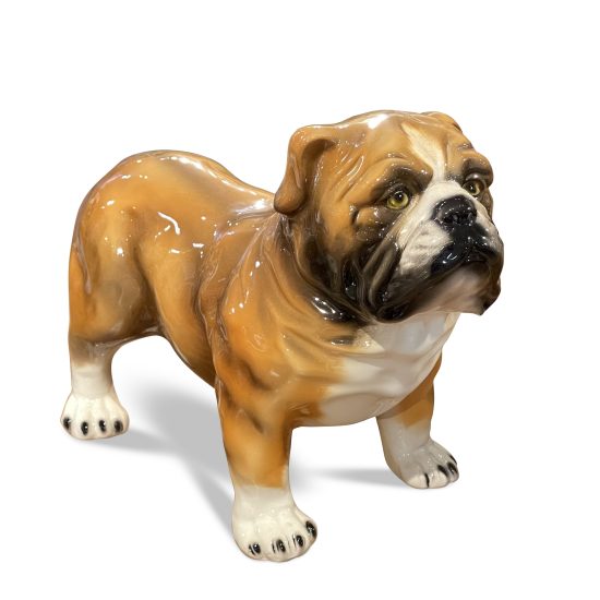 Bulldog Brown 13”