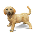 Labrador Standing 13”