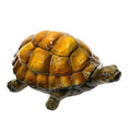 Turtle 10″