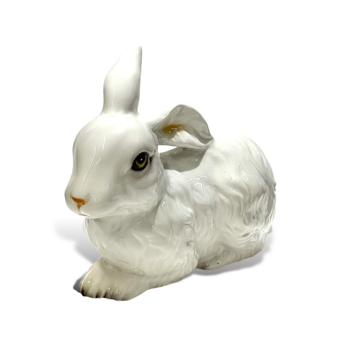 Bunny ANI2352