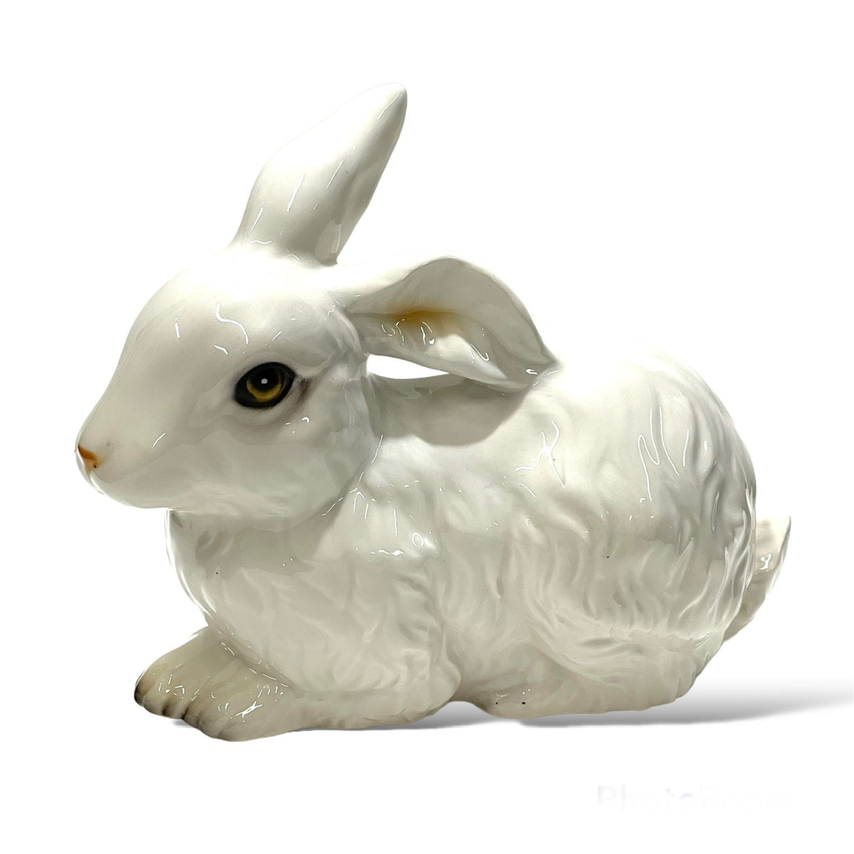 Bunny ANI2352