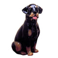 Rottweiler 20″