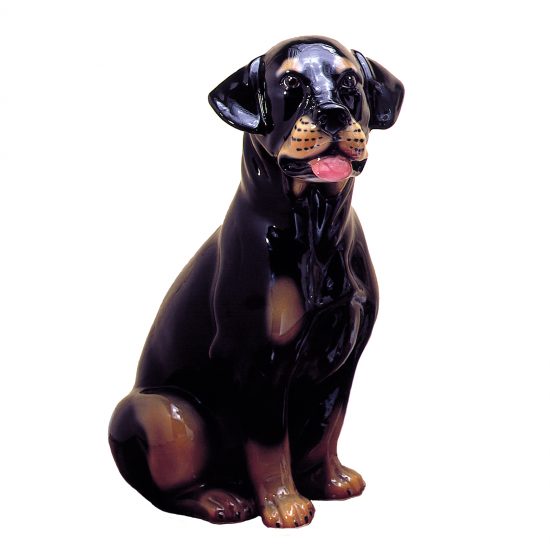 Rottweiler 20″
