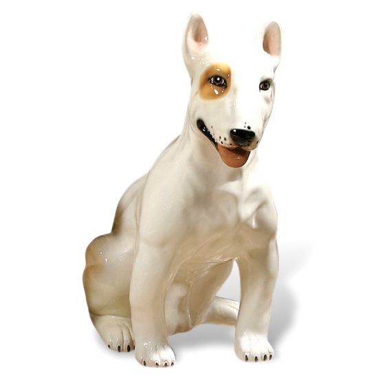Bull Terrier ANI9555 22″