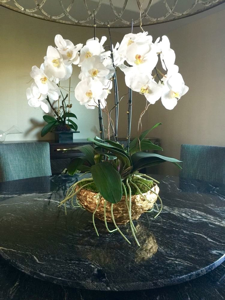 Oro Planter Large